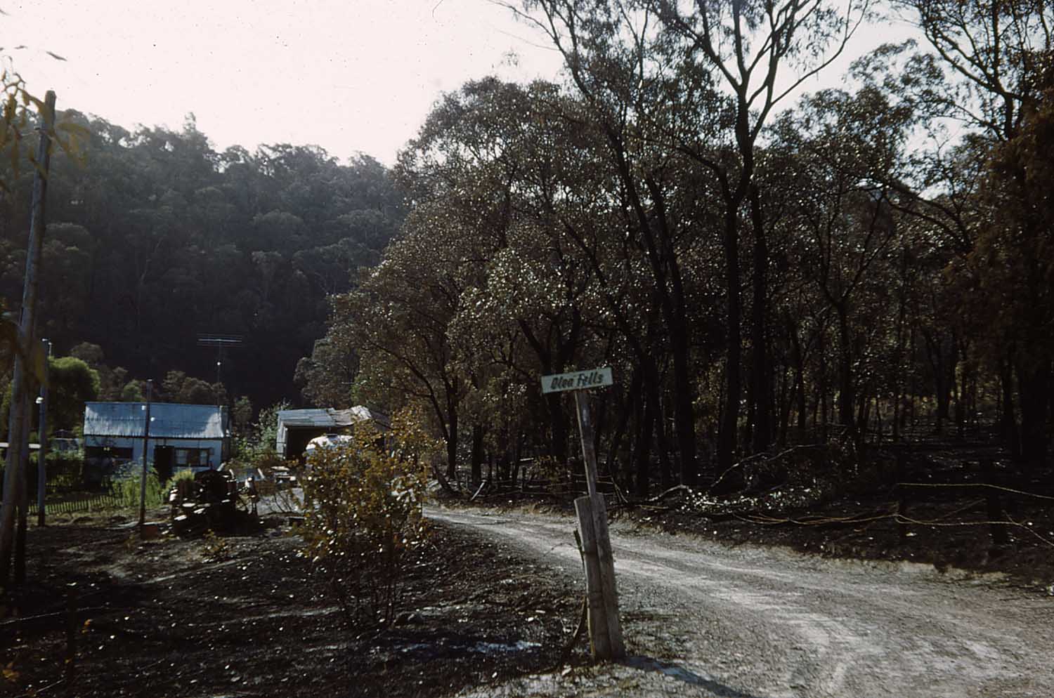 62 bushfires 003 mail.jpg