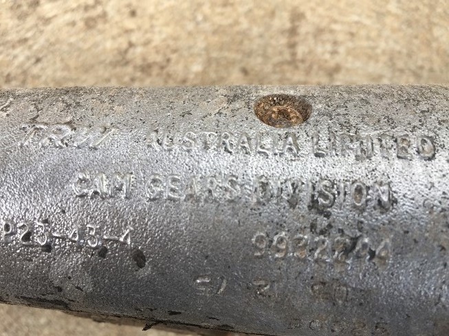 Torana Id.JPG