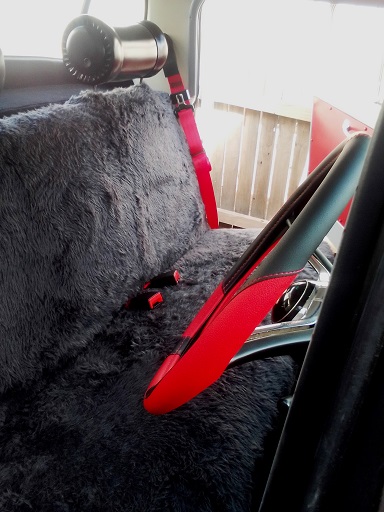 seatbelts 1.jpg
