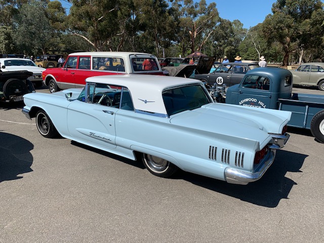 Low Thunderbird