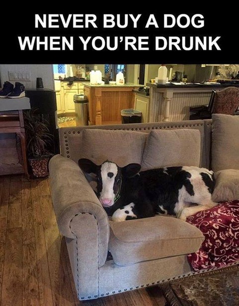 7.jpeg