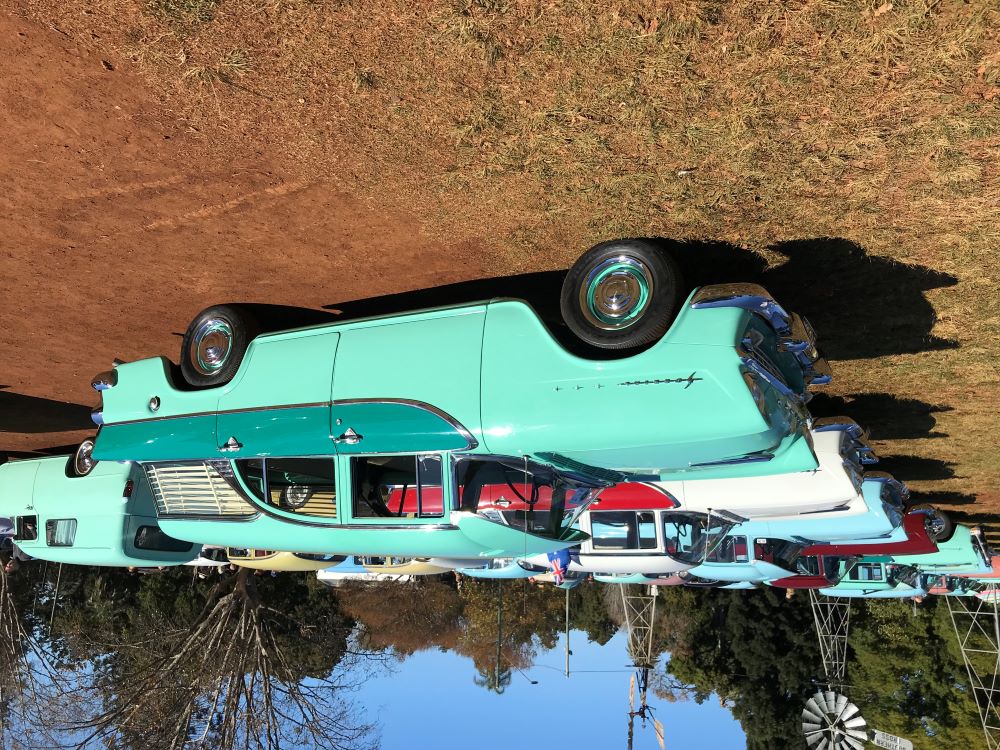 1st FB sports, best wagon