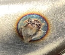closeup.jpg