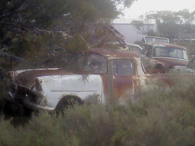 DSC00430.JPG