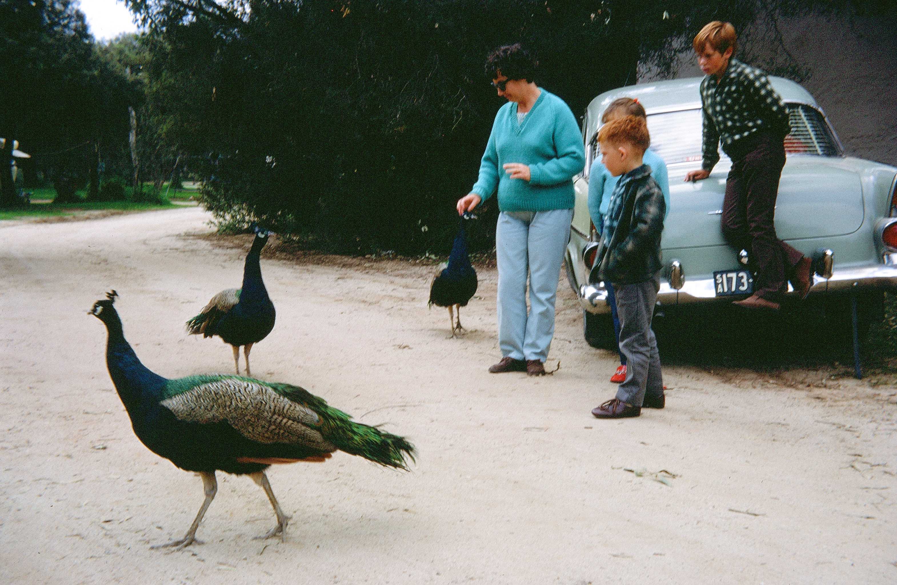 Family outing 1971. That is me closest to camera