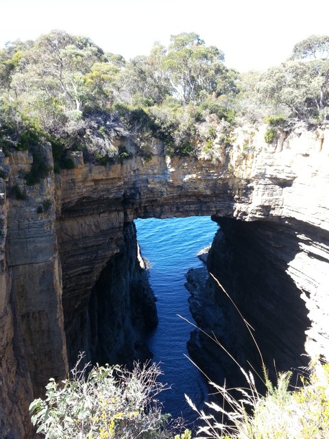 20130320_132925.jpg
