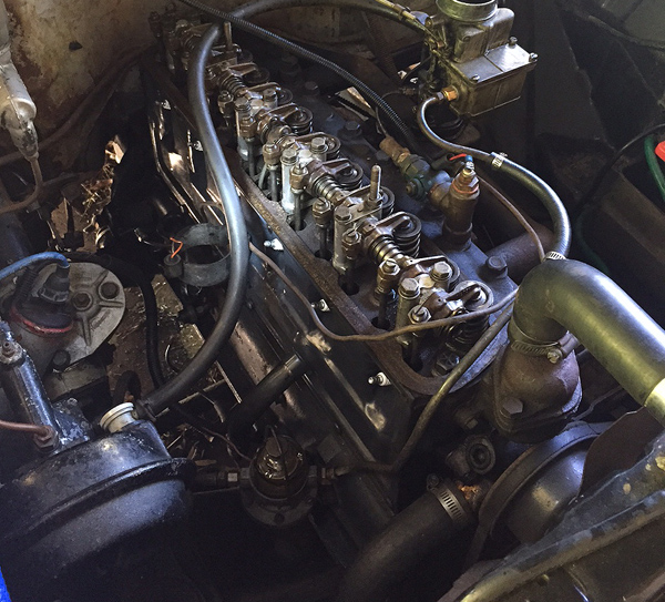 IMG_Sideplate_600.jpg