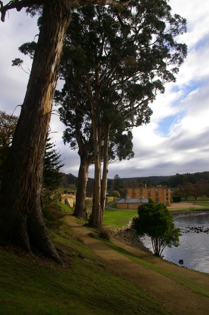 IMGP7414.JPG