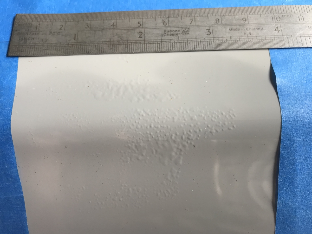 Optimized-Closeup of blisters.JPG
